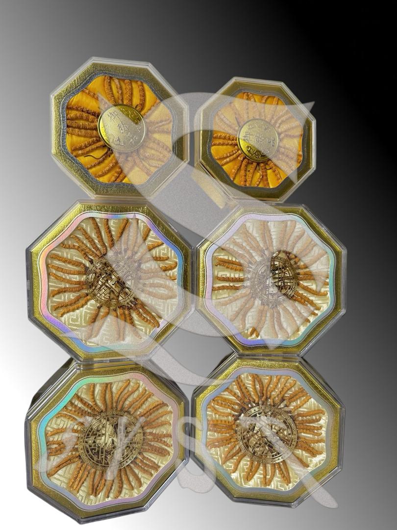 Cordyceps