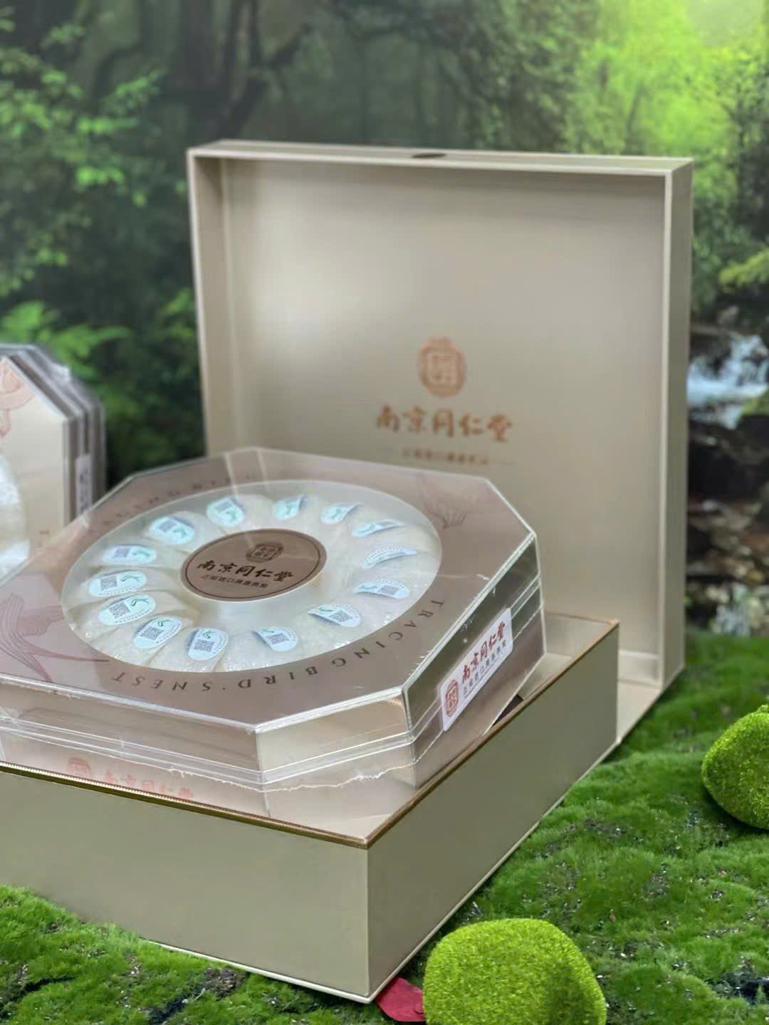 bird's nest meaningful health gift