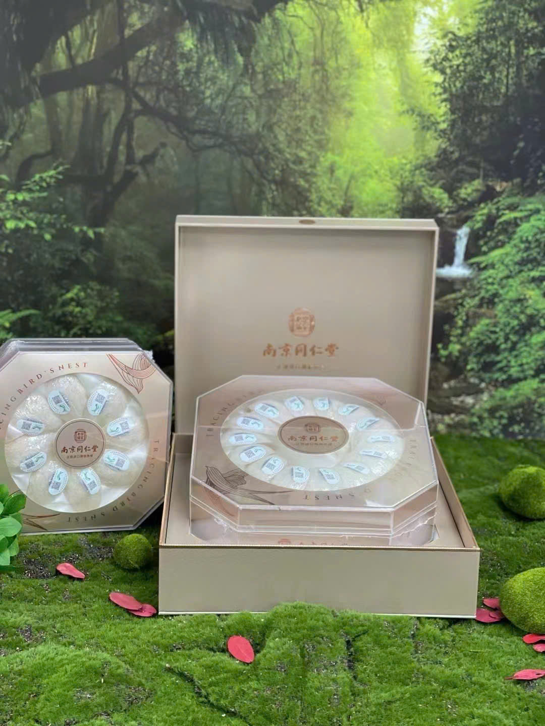 bird's nest meaningful health gift