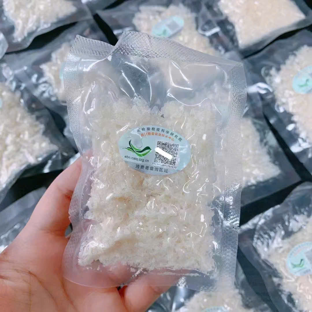 little treasure bird's nest